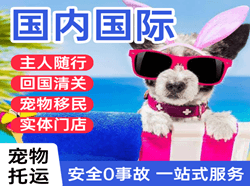 怀化芷江空运国际宠物托运 【国